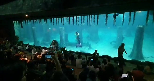 Singapore Zoo Performance
